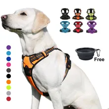 puppy belt online