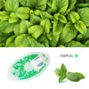 Ice Mint 100pcs