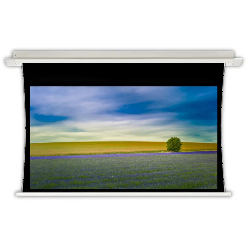 Electric Drop Down Projector Screens With Woven Acoustically Transparent Surface Allow Sound Waves From Speaker to Pass Screen