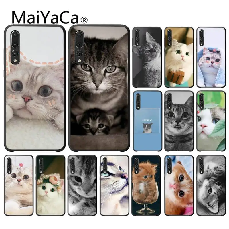 MaiYaCa милые забавные кошки роскошный дизайн телефонная связь для Huawei Y6 7 2019 MATE 10 LITE