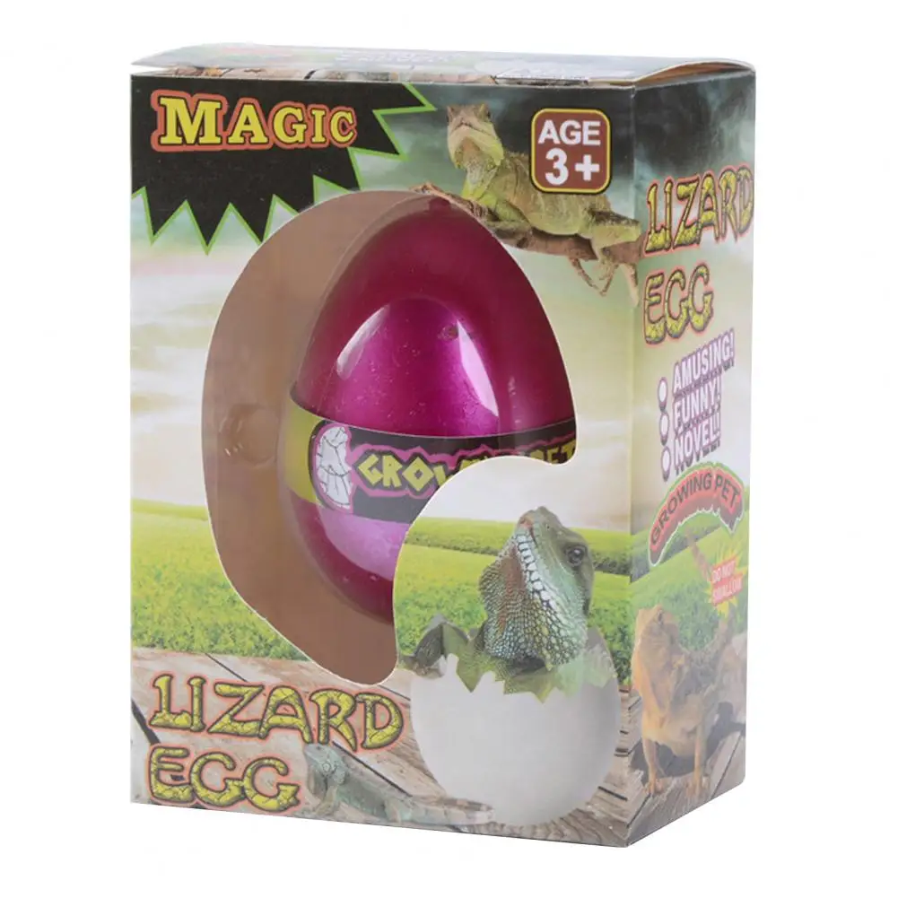 Funny Water Expansion Hatching Novelty Dinosaur Animal Eggs Box Learning Educational Toys Kids Gift For Children  Birthday Gifts 2