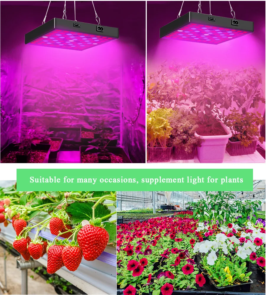 Grow Light Full Spectrum 410-730nm LED Growing Lamps AC85-265V 50W Plant Growth Lighting for Plants Flowers Seedling Cultivation (9)