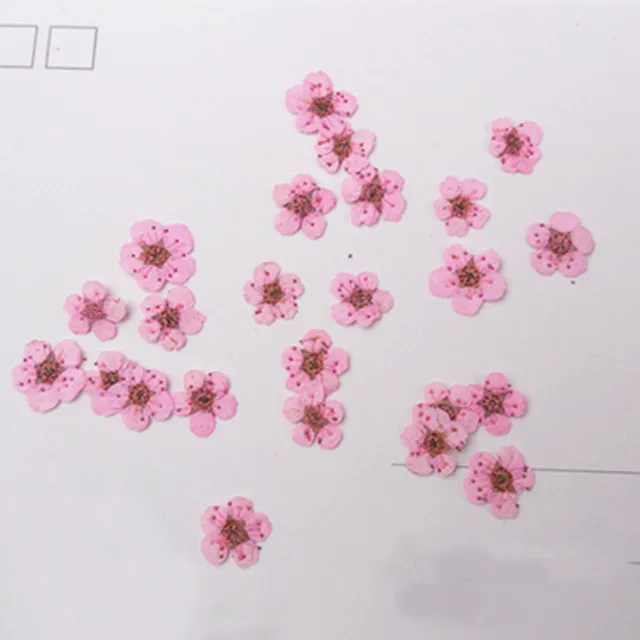 淡粉色-0.8CM