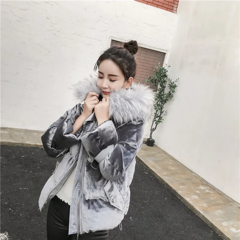 Photo Shoot Winter New Style Korean-style Short Hooded Large Fur Collar down Feather Cotton-padded Clothes WOMEN'S Dress Thick d