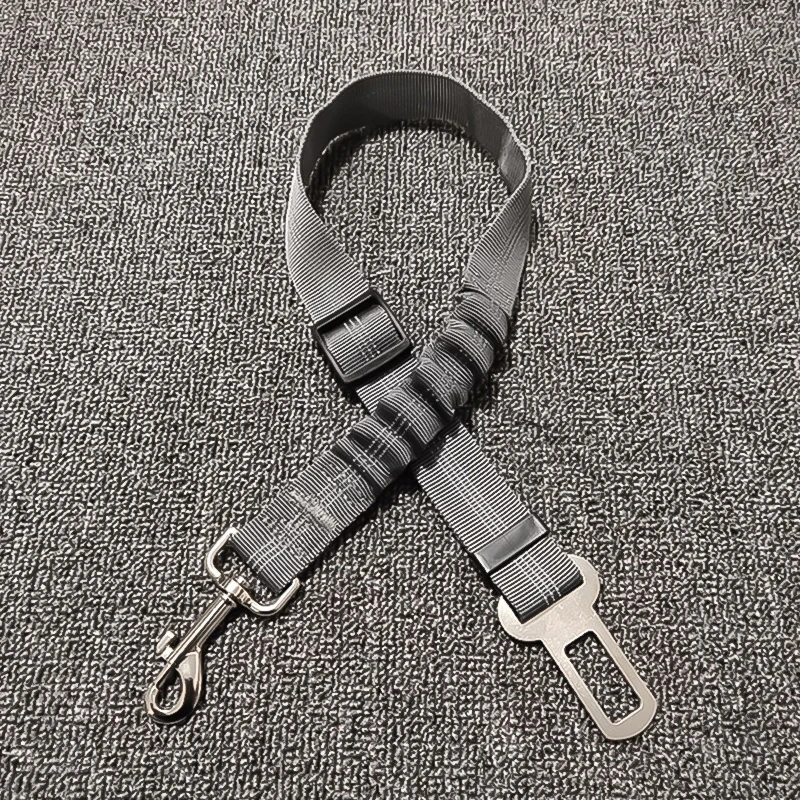 11025638820_575051838