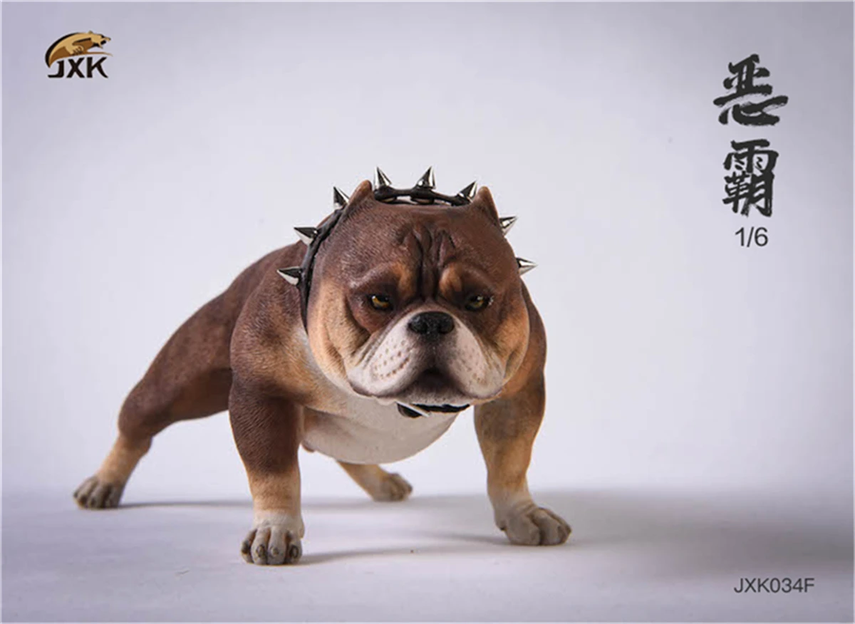 JXK 1/6 American Bully Pitbull Dog Pet Figure Animal Model Toys