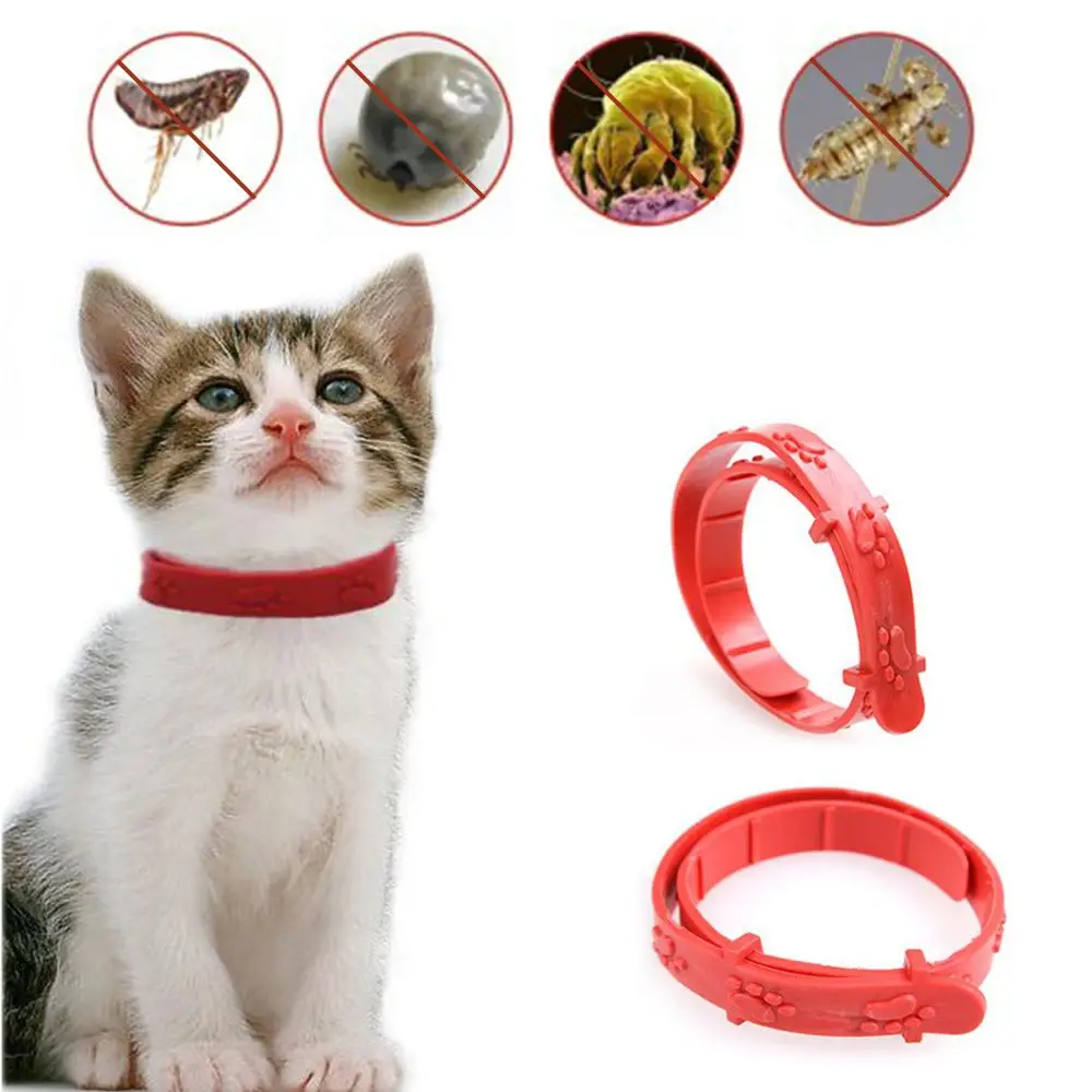 1pc Pet Dog Cat Collar Anti Flea Tick Quick Kill Remove Pet Protect