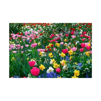 

150/225cm Forest Background Photography Paper Spring Photo Booth Background Studio Party Backdrop Vinyl Cloth Photography