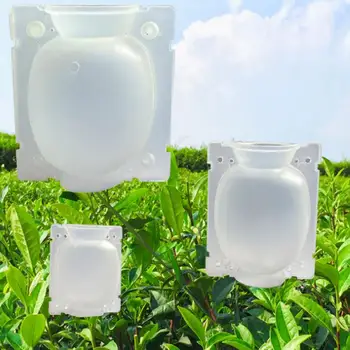 

3 size Plant Root Growing Box Plant Rooting Ball Grafting Rooting Growing Box Breeding Case For Garden Plant Root Box TSLM2