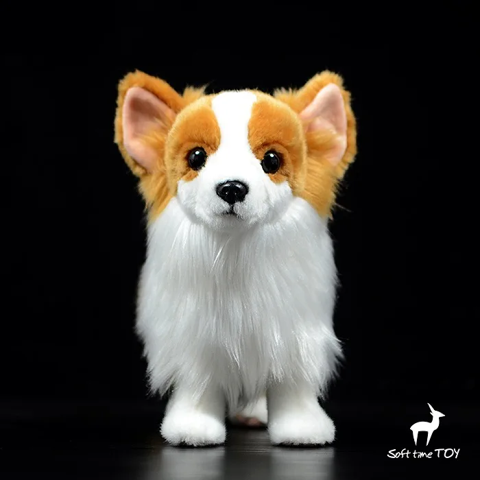 

model gift Pomeranian dog