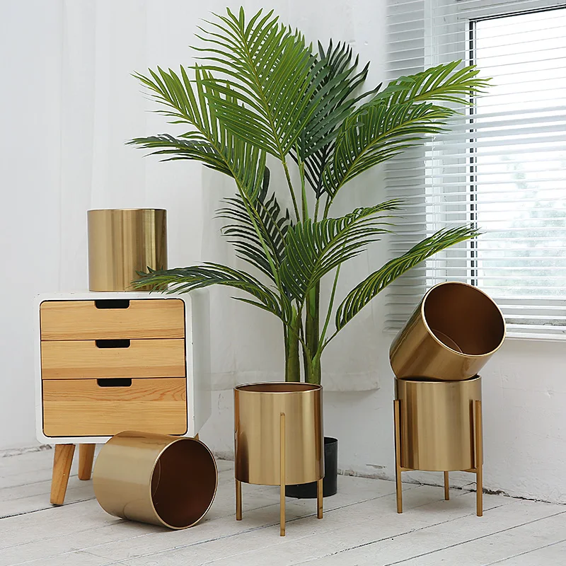 O1CN011hMLhP1WGa5WZ2uhT_!!2901782761