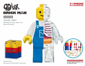 

4D Artist Mighty Jaxx Perspective Assemble Anatomy Bone Skeleton Robot |Test Dummy Skeleton Toy