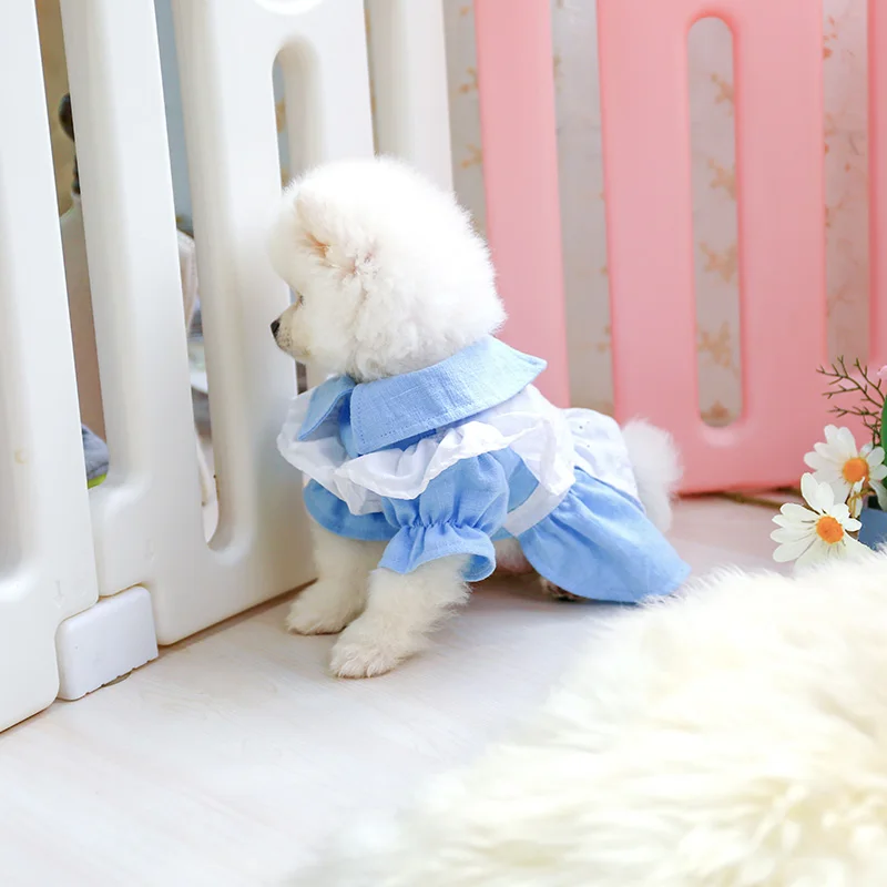 爱丽丝裙子_6734