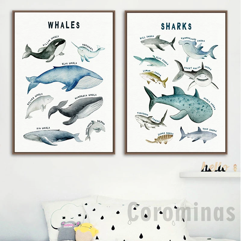 Child Poster Dinosaurs Whale Shark Marine Animal Nursery Canvas Art Print Education Wall Picture Painting Baby Kids Room Decor | Дом и сад