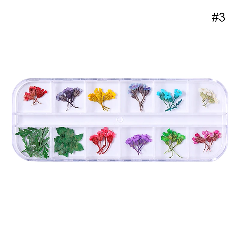 03 1 Box Dried Flowers Colorful Mixed Preserved Flower With Heart-Shaped Box Glass Bottle 3D Nail Art DIY Design Decorations - Color: 03