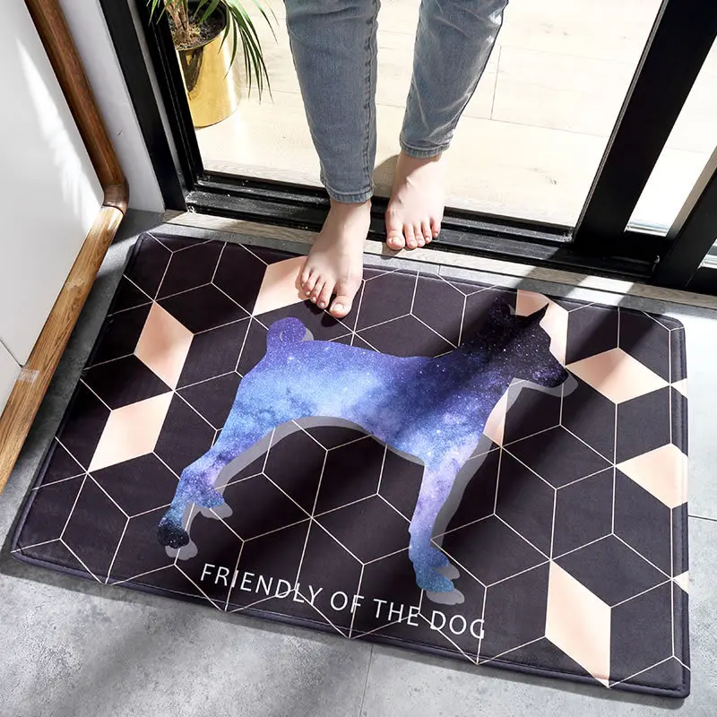 WOW Pet нескользящий прочный коврик для двери открытый вход спальня ванная комната кухня туалет декоративный внутренний ковер напольный коврик