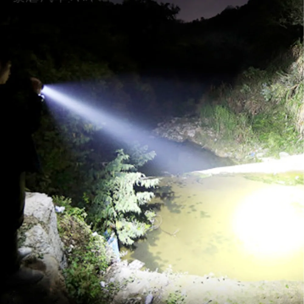 WY9013-m(叶文丽）