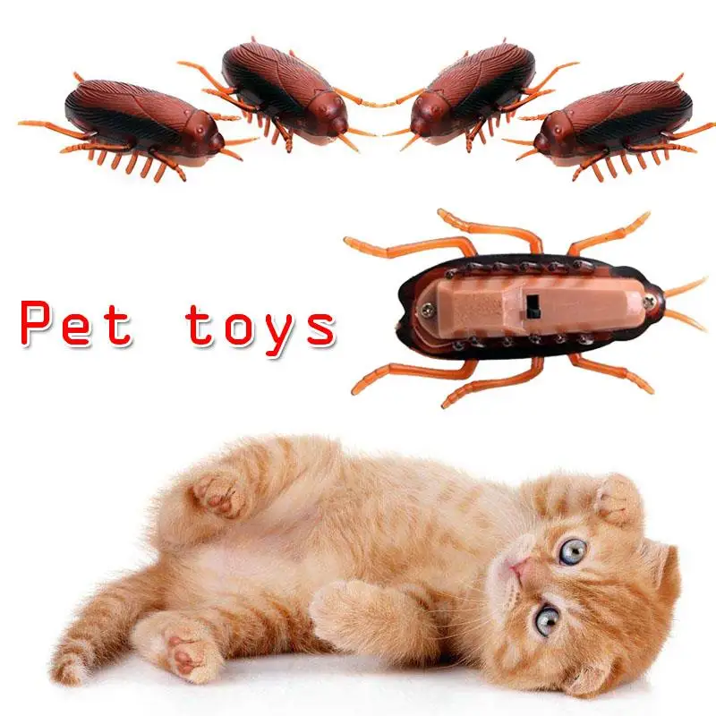 День дурака, игрушка для кошки, домашние животные, Hardfakecockroache, котенок, собаки, таракан, кошки, игра, электронная симуляция, тренировка