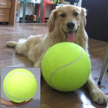 Hunde Tennisball groß Jumbo – 24cm Spielspaß