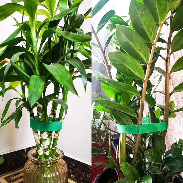 3/10 db 2M Zöld Kerti Zsineg Kötött Szalagos Kötéskötés Horoghurok Támogatások Bambusz Nádcsomagolás Támogató Fejhallgató Vonal Usb Kábel - Image 2