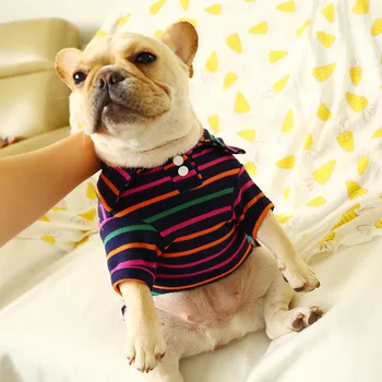 

Dog Supplies Dogs Pets Clothing Spring and Summer Dog Clothes Pet T-shirt Corgi Bully Casual Short Sleeve Breathable