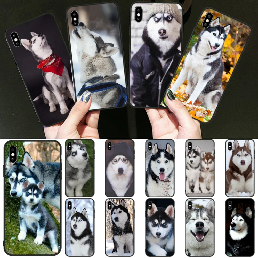 

LJHYDFCNB Animal Wolf Husky Dog Custom Photo Soft Phone Case for iphone 5 5s 5C SE 6 6s 7 8 plus X XR XS 11 Pro Max