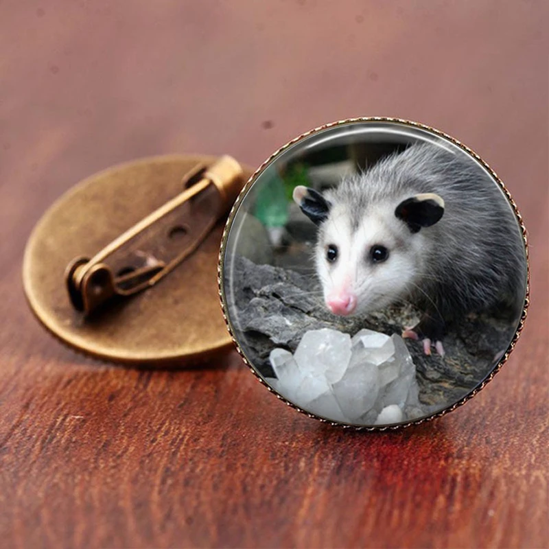 Симпатичные Opossum мышь на заказ фото стеклянный конусообразные Броши день