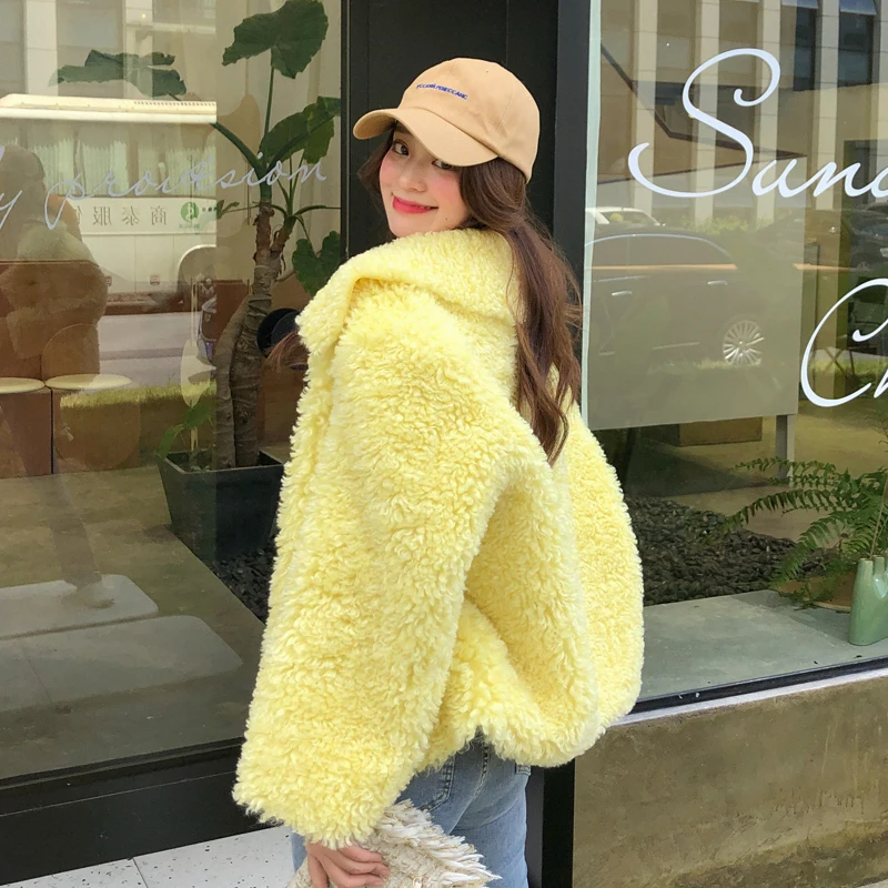 Ins style, Женское зимнее пальто из искусственной овечьей шерсти, корейские милые куртки для девочек, короткая верхняя одежда с отложным воротником, пальто