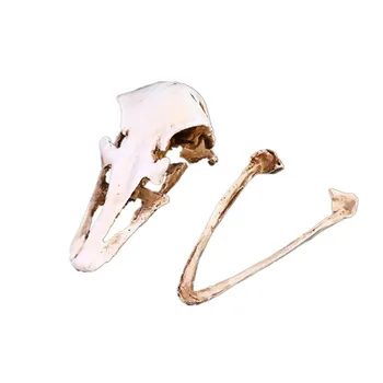 

MRZOOT High-precision Simulation 1:1 Ostrich Skull Resin Model Exhibition Specimen Resin Skull Animal Skull