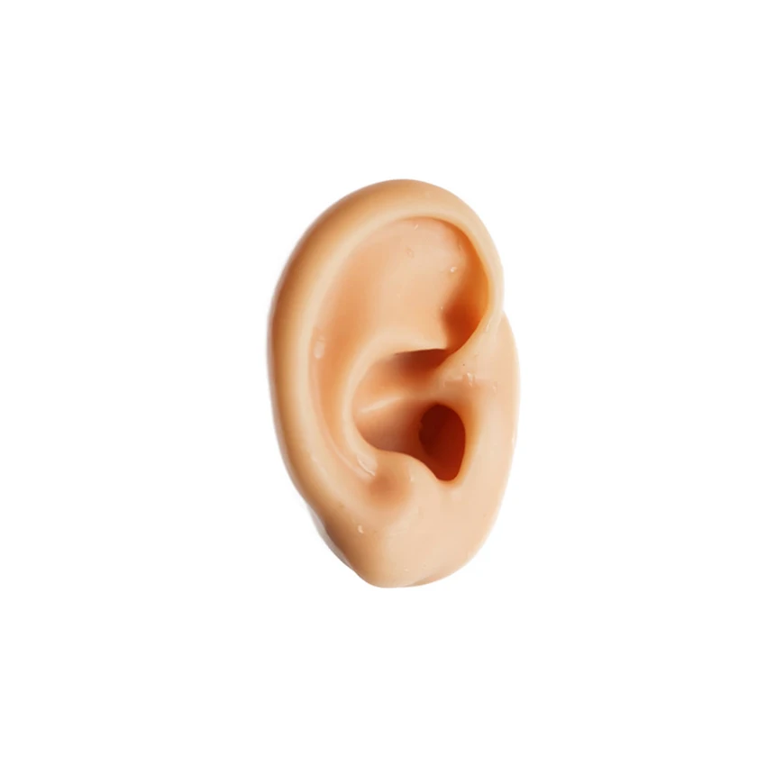 

1pcs Silicone Ear Model Human Artificial Ear Display Right and Left Ear for Test Teaching Studying Practice tools