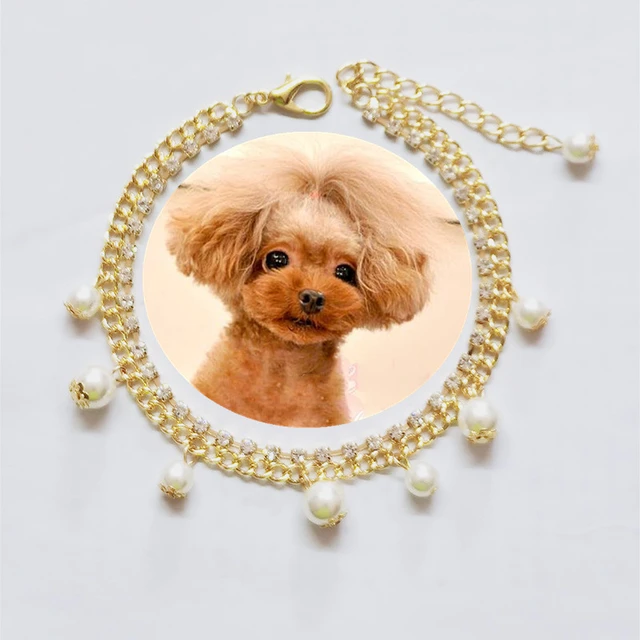 Buy PETFAVORITES Engraved Crystal Bone Dog Necklace Collar Jewelry with  Bling Pearls Rhinestones Charm for Pets Cats Small Dogs Girl Teacup  Chihuahua Yorkie Clothes Costume Outfits (Pink, Size: 12