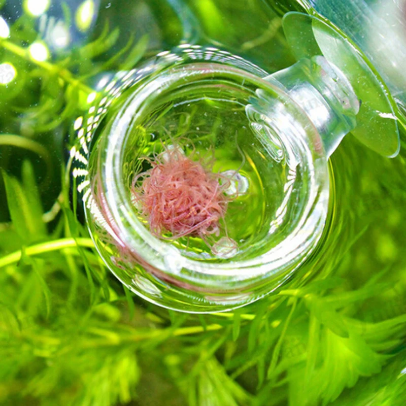 Аквариумные рыбки аквариумные питатели аквариумные принадлежности стеклянный горшок для растений подстаканник для кормления креветок