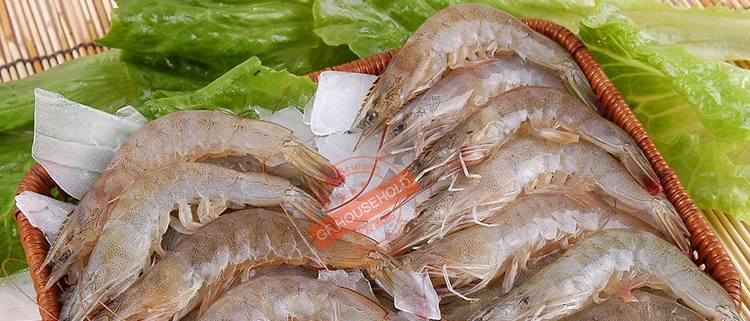 Camarão descascador lagosta peixe camarão caranguejo frutos