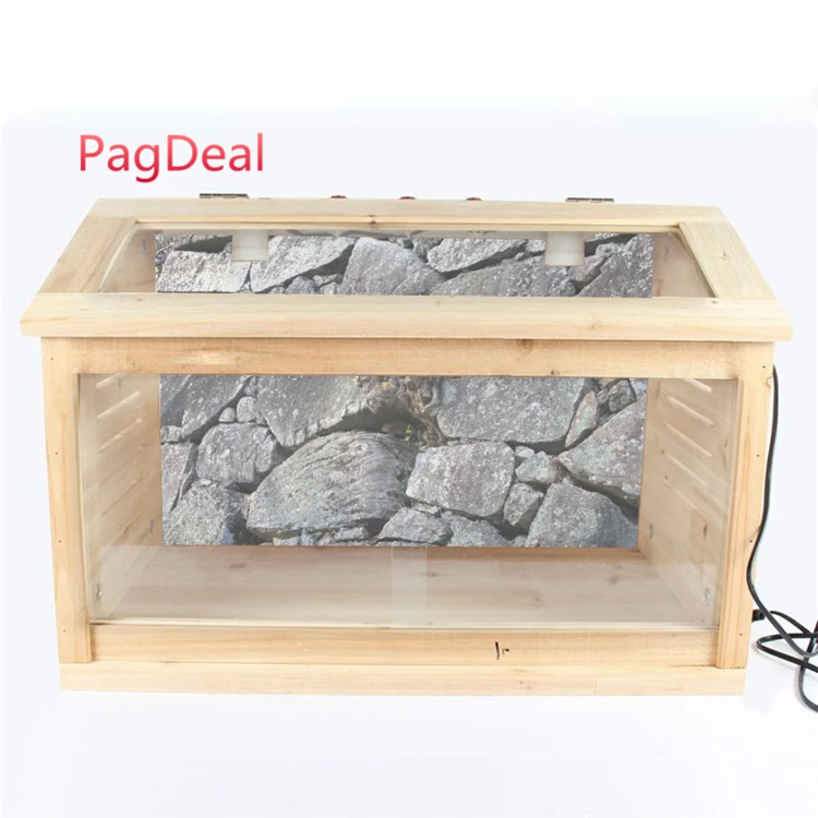 

Pet Reptile Habitat Terrarium Background Orange Desert Sky Cactus Rock Stone Image Poster Turtle Backdrop Poster