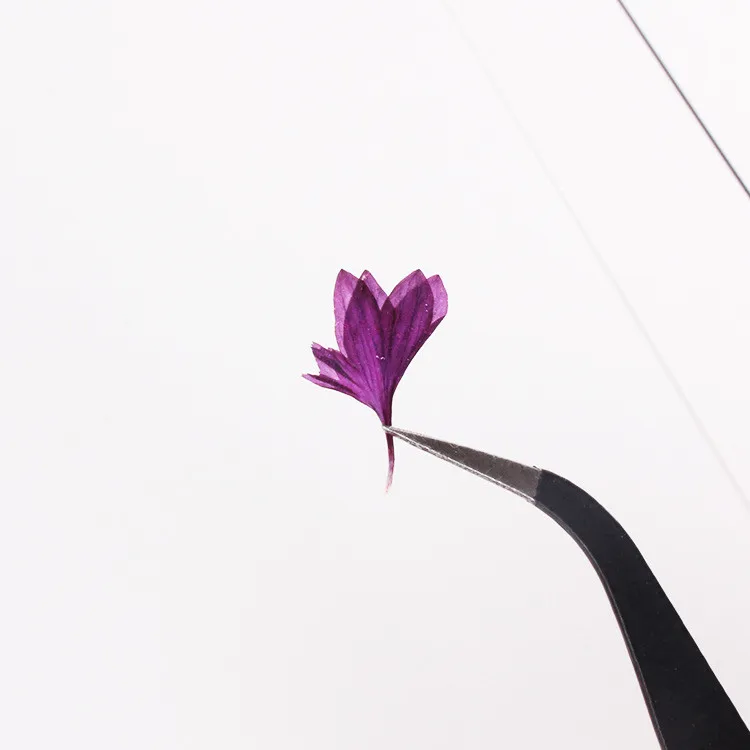 Description Picture 5 of item40PCS,Nature Pressed Flower,Real Touch Cornflower Petals,DIY Wedding invitations Craft Bookmark Gift Card,Flores Facial Decor