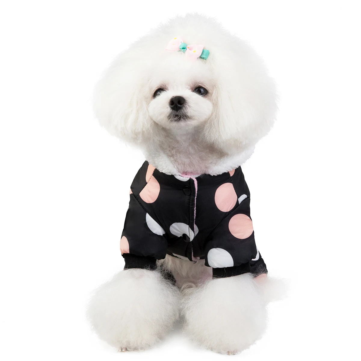 dog coats for small dogs