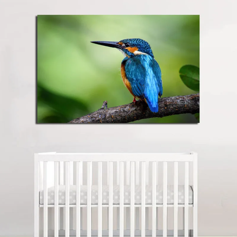 Красочные Kingfisher птицы диких животных стены искусства холст плакат и печать