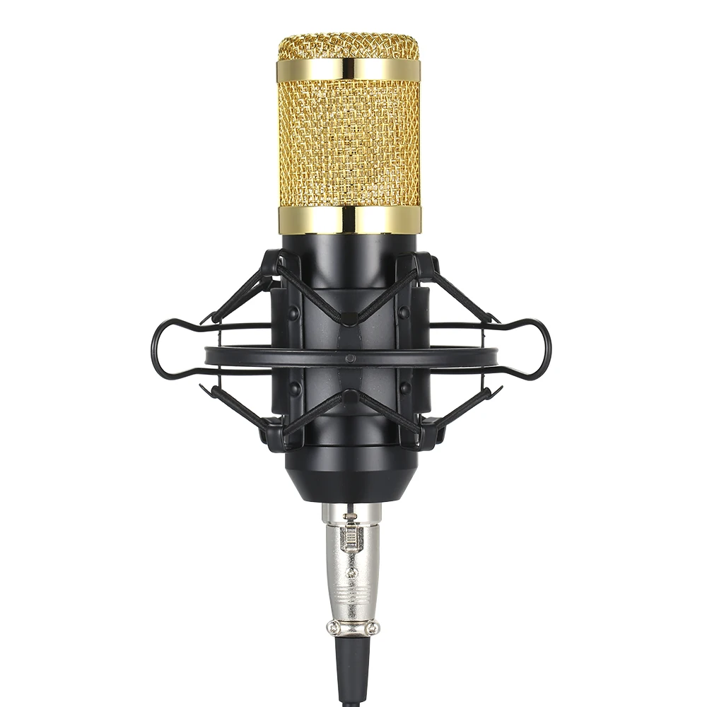 BM800 конденсаторный мини usb микрофон горит Pro Audio Studio Запись и брокастинг регулируемый микрофон Подвеска ножничный рычаг поп-фильтр
