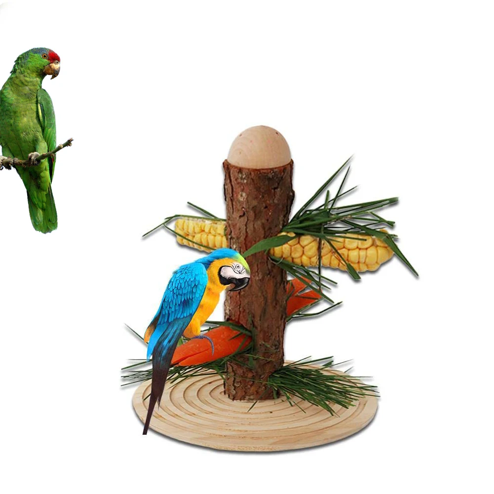 Stand Multifunctional Wooden Rack Guinea Pig Straw Portable Diy
