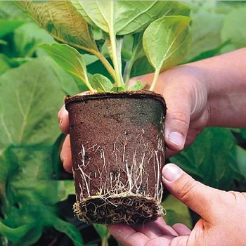 

2*5 Seedling Starter Tray Seed Cells Germination Flower Plant Nursery Grow Cups