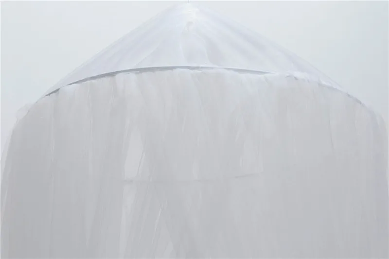 12082495971_378197899