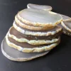6pcs Natural white agate slice Grey agate stone slices 5