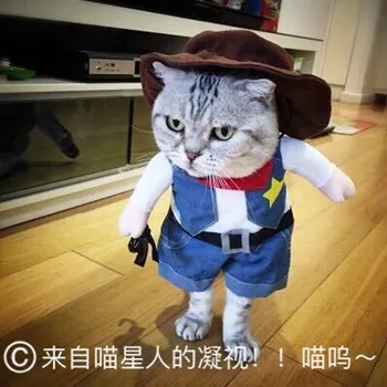 

Funny Red Army Pirate Policeman Cowboy Cosplay Costume Cats outfit small Dogs Pet Costume Clothes Matching hat