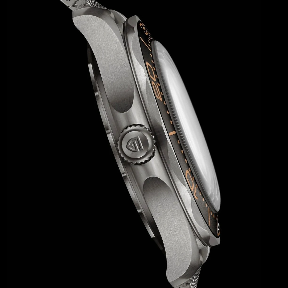 2021 New PAGANI DESIGN Men's Mechanical Wristwatches Luxury Automatic Watch For Men Luminous Diving Steel Watch Japan NH35 Clock 2