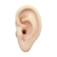 Ear Acupuncture Model - 7cm - Pressure Point and Meridians - Model Anatomy Acupuncture Ear Acupuncture Practice Model advanced stages of bedsores pressure sore simulator decubitus wound care model nursing model