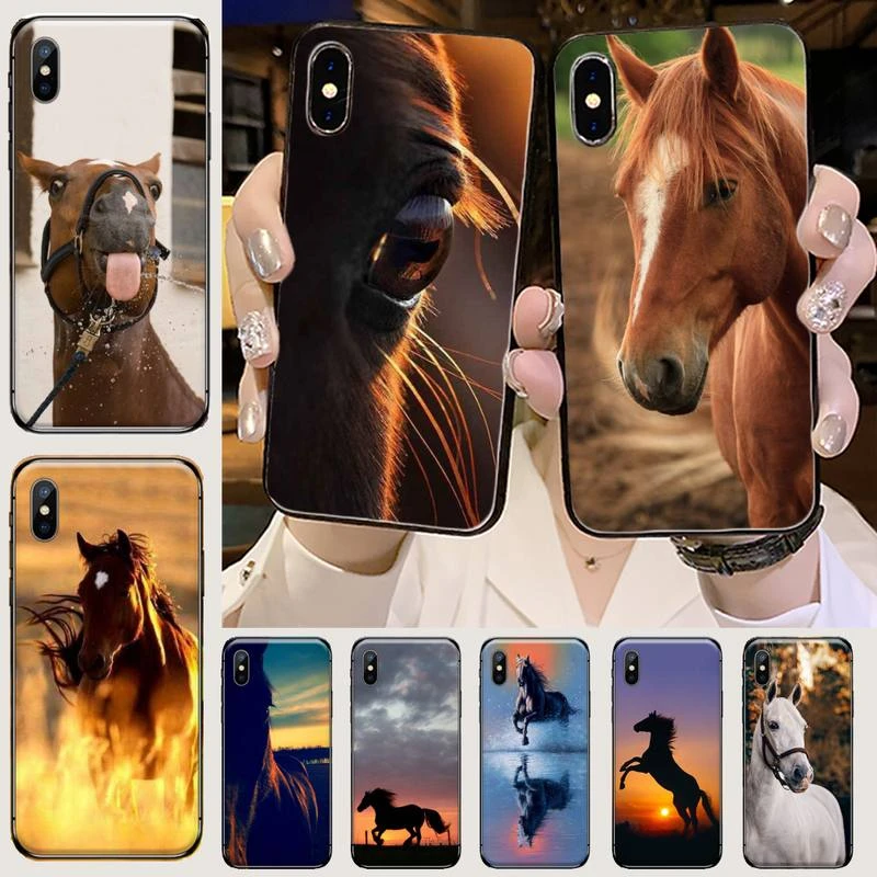 Frederik The Great beauty horse Phone Case for iPhone 11 12 mini pro XS MAX 8 7 6 6S Plus X 5S SE 2020 XR iphone 7 silicone case