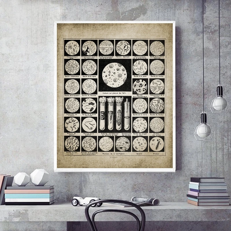 Bacteria Art Prints Wall Decor
