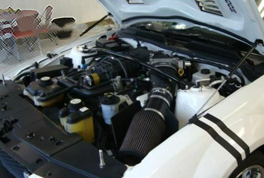Carbon Bonnet Hood Gas Strut Lift Damper Kit for FORD 2005-2009 Mustang