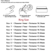 Auxauxme 5 Row Lines Clear White Stones Wedding Rings For Women Fashion Zircon Stainless Steel Female Teen Jewelry 6