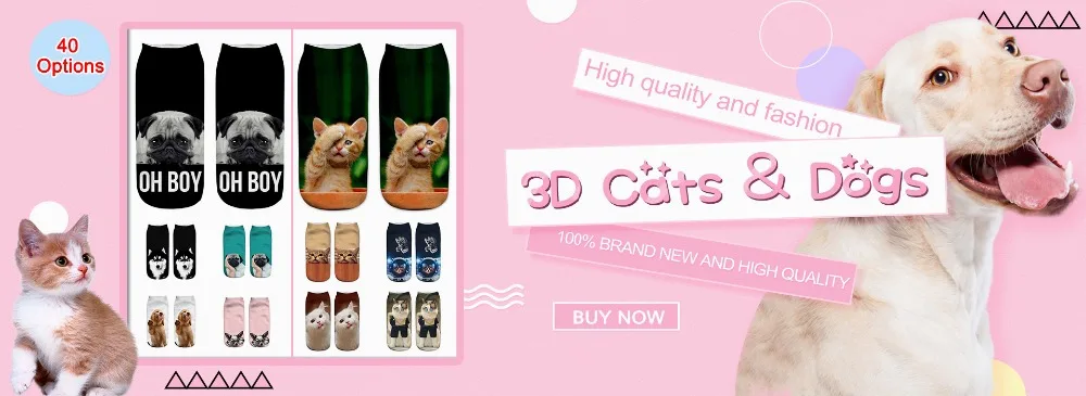 BHP81009333、YCC80813555施伟崇pc1